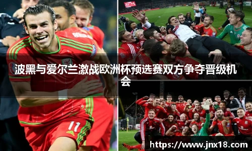 波黑与爱尔兰激战欧洲杯预选赛双方争夺晋级机会